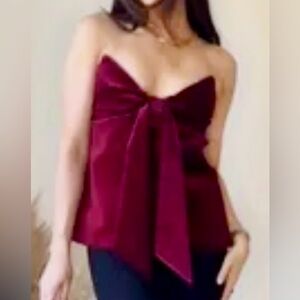 Zara Velvet Top in Burgundy Size S